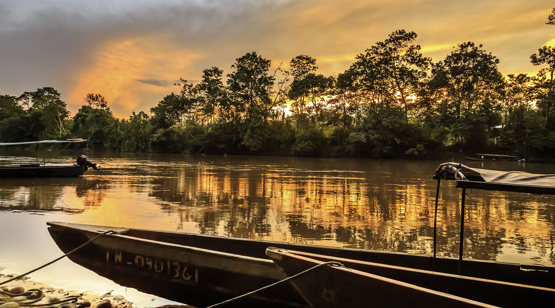 Paragon Commodities Ltd - Wholesale Nut Importer