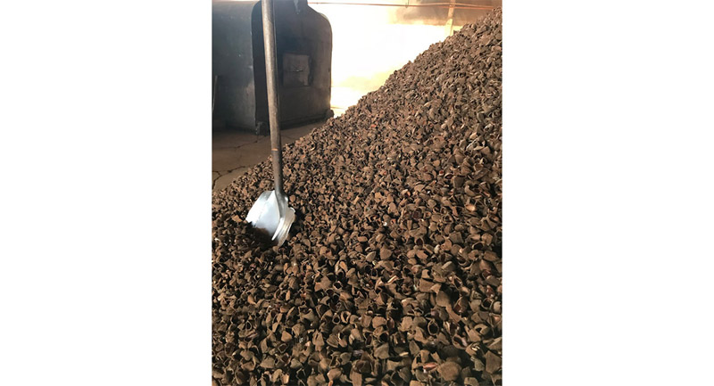 Shells are recycled, fuelling the auto clave furnaces.